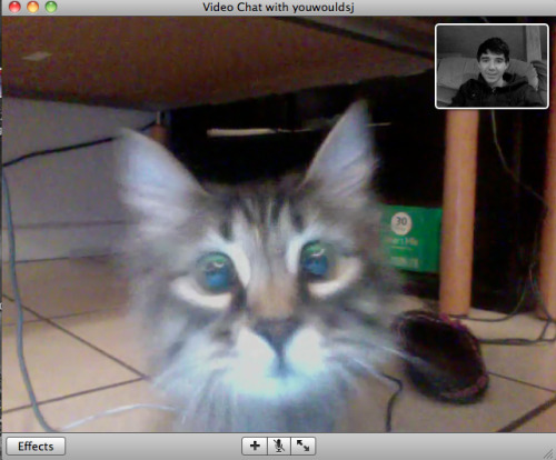 forsciencejohn: omg she recognizes me on video chat the third one