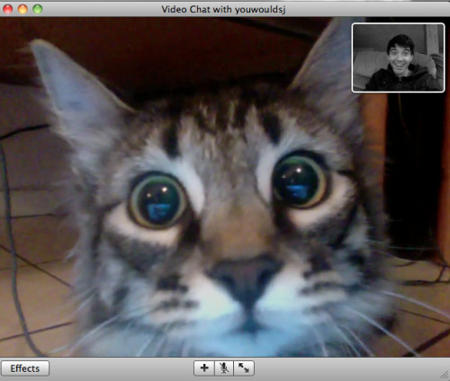 zoziebob: i-w4lk-al0ne: varyagst: forsciencejohn: omg she recognizes me on video chat the third one 