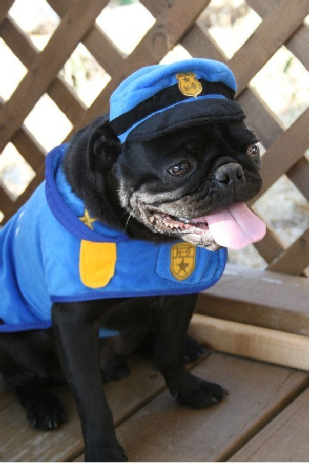 notoriouspyt:  Gotta love a man in uniform (;