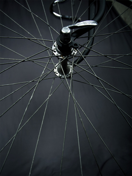 foldingbike: “Take ride your precious time” (Keynon Manchego photography)