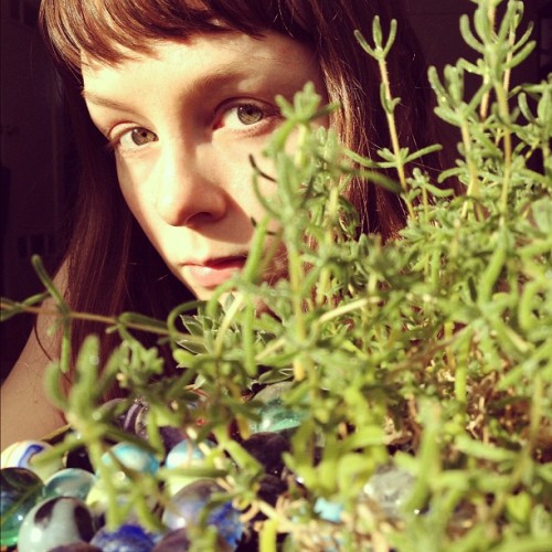 13/29 plants. #febphotoaday (Taken with instagram)