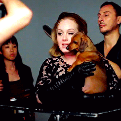 beybad:  Adele &amp; Louie 