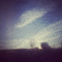 Bus windows are alittle dirty. (Taken with