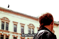 asdfghjkl-i-cant:  sherlockspeare:  Fabulous Sherlock is dancing.  it’s okay guys season 3 is almost here 