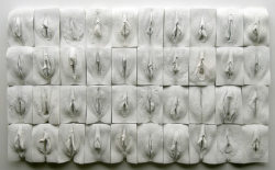 Muxercita:  Transformfeminism:   The Great Wall Of Vagina By Jamie Mccartney. The