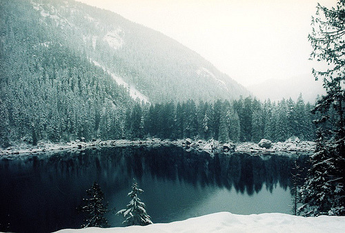 arcticseas:  lena lake (by famousweirdonion) adult photos