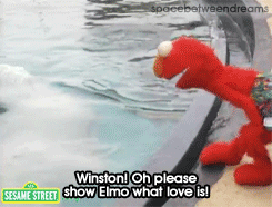 :Elmo learns the meaning of love from Winston the beluga whale.I want a beluga kiss <3