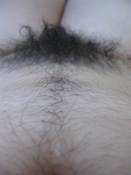 http://bellyhairandracingstripes.tumblr.com/post/50826809713