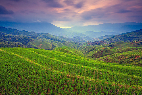 torace: Sunrise (by ©Helminadia)