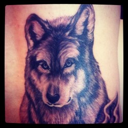 fuckyeahtattoos:    Finally got my back piece started by Hiro in North Hollywood, CA. The wolf will be in the foreground of a forest scene. Yup, I’m a dork for wolves! Stay tuned for the finished piece in a couple of months.     