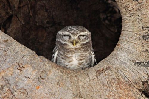 “Psst-I’m ignoring everyone and everything until the hearts go away. Do me a favor and s