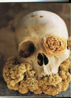 gothiccharmschool:  Elegant skulls and roses.