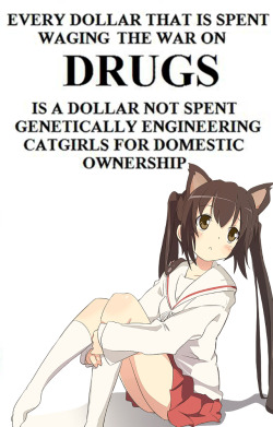 loricon:  le-carnaval-de-mal:  pantiesnpasta:  yotsubatozetsubou:  loricon:  Yes. (and dog girls please)  is that kana  why isnt this a thing yet  Wow, don’t even get me started on something like this. Of course no one is truly serious about something