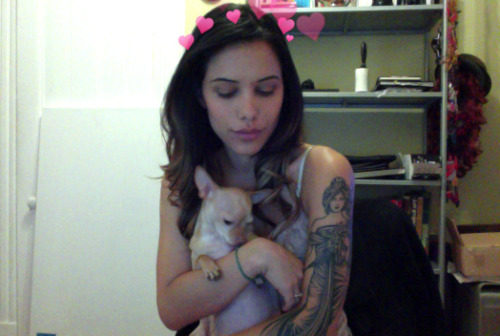 gpoy chihuahua kisses