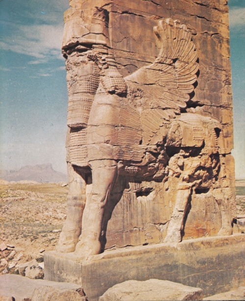 flosvitae: Gate of Xerxes, at Persepolis 