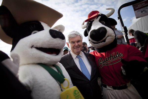 In California, Newt Gingrich is working hard to lock up the giant stuffed cow vote. (Photo by Evan Vucci/AP)
