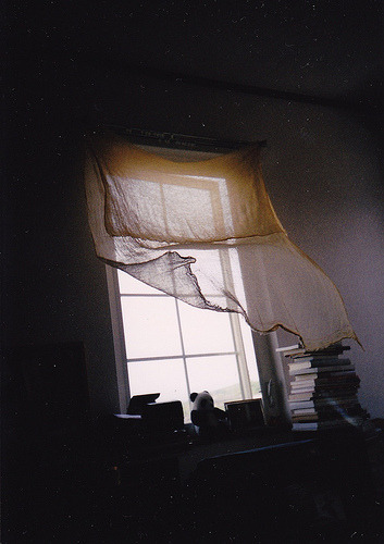 libraryatsea:  (by risa-i) 