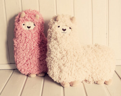 I don&rsquo;t care who you are&hellip;. If you get me this, i will cry myself to sleep every night&hellip;out of joy&hellip;fuckin love llamas .