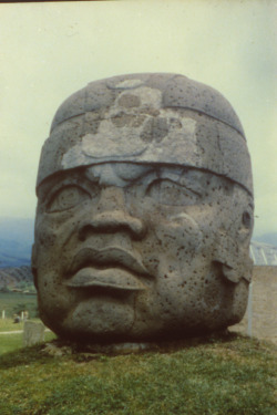 life-leisures:  Olmec Colossal Head, Mexico.