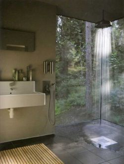 allthestrangerplaces:  incicurable:  ohbirrd:  I would live the rest of my life here, just in the shower.   but what if someone was outside  Lucky them 
