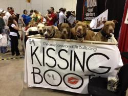 jolty:  Awwwww, slobber booth. =^;^= 