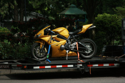 sportbikedm:  Triumph Daytona 675 Triple