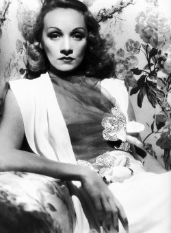 anantoinetteaffair:  Marlene Dietrich. 