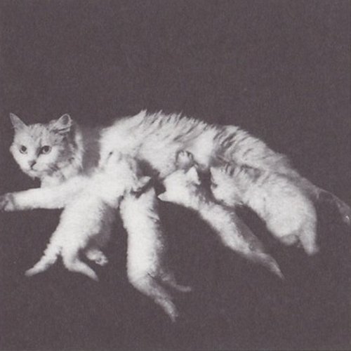 frenchtwist:  City with independent satellites (Unwin 1910), and a kitty nursing four of its young from Morphologie/City Metaphors by O.M. Ungers A book of dense theory on image and perception, symbols and analogies, Morphologie/City Metaphors displays