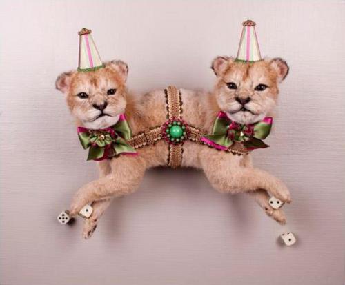 mymysterymeat: kitschyliving: The Taxidermy Sculptures of Les Deux Garcons <3__<3