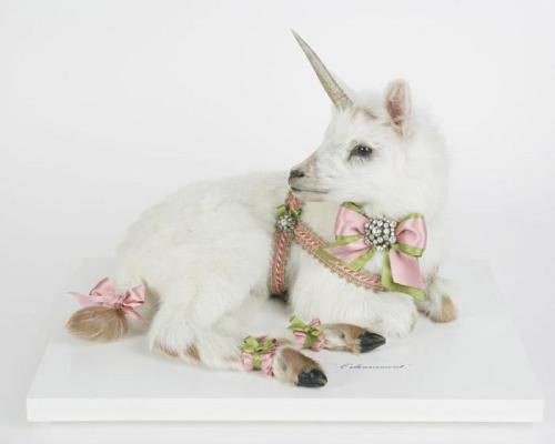 mymysterymeat: kitschyliving: The Taxidermy Sculptures of Les Deux Garcons <3__<3