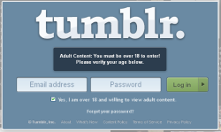 noshit-sherlocked:  So I got this when I went to look at someone’s tumblr. Obviously, this person needs to change their password because it has been invaded by a phishing scam virus thing. If you see this, do not fucking enter your details in there.