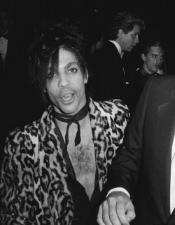 5to1:  Prince http://www.dailymotion.com/video/x8t3op_prince-sheila-e-a-love-bizarre-part_music