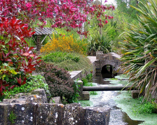 by Sandra Leidholdt on Flickr.Springtime in the village of Adare, County Limerick, in Ireland.