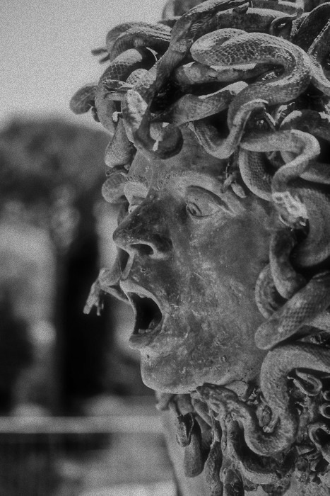 dispetrichordia:  Poor Medusa, she just wanted to be left alone. 