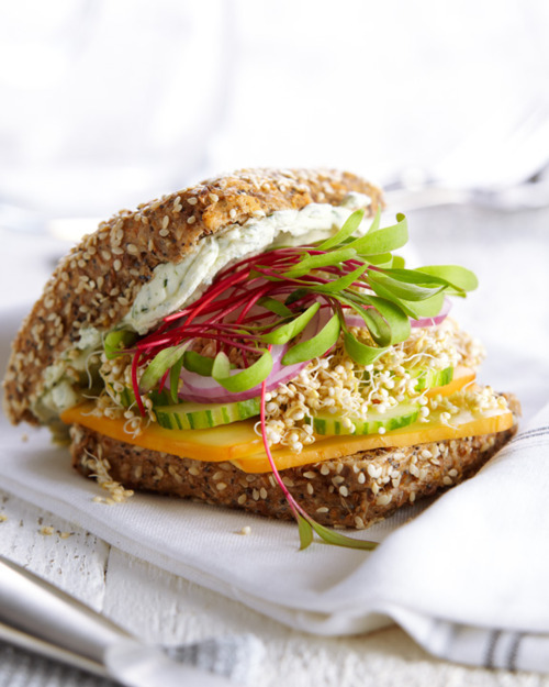 prettygirlfood:  Cucumber Gouda Sprout Sandwich Ingredients 2 Tbsp (30 mL) light cream cheese, softened 1 tsp (5 mL) chopped fresh dill (or ¼ tsp/1 mL dried) 2 slices rye, whole wheat or gluten-free bread 4 slices cucumber 2 Tbsp (30 mL) quinoa