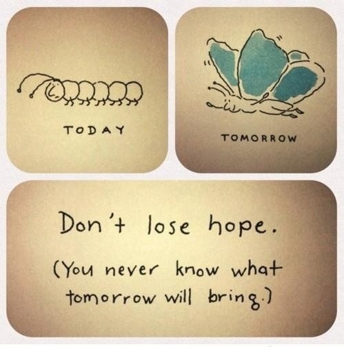 fearandhope:  and that’s goodnight from me… 
