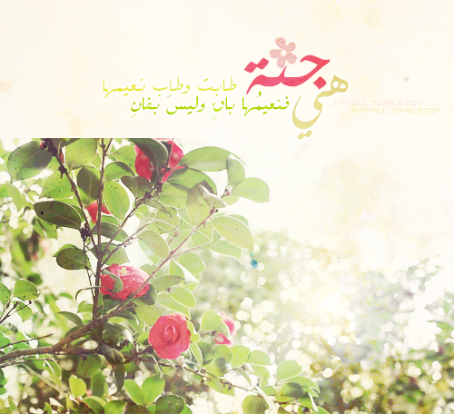  يا رب اكتبنا من أهلها بغير سابق حساب ولا عذاب