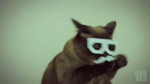 guillee:  Seriously, dubstep hipster cat is this year’s Trololo. 