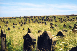 Sight Of The Tombs