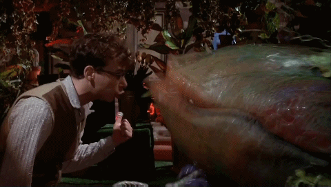 bonhamcarterboy-blog:  Gabriel’s favorite movies of all time↳ Little Shop