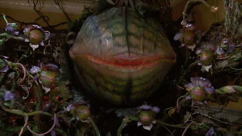 bonhamcarterboy-blog:  Gabriel’s favorite movies of all time↳ Little Shop