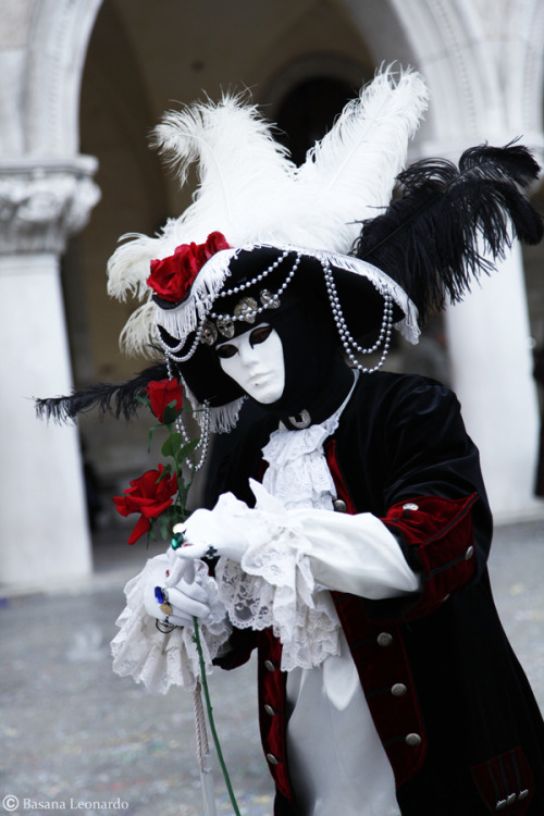 myvenetianmask:  A Elegant Gentleman 