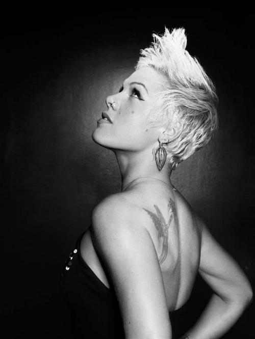 allforfans:  P!nk / let 
