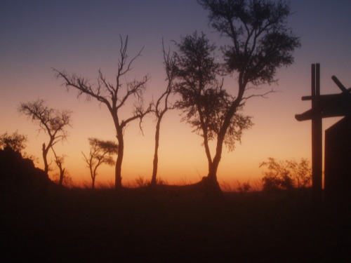 suburbanparanoia:  Namib Desert livin’  