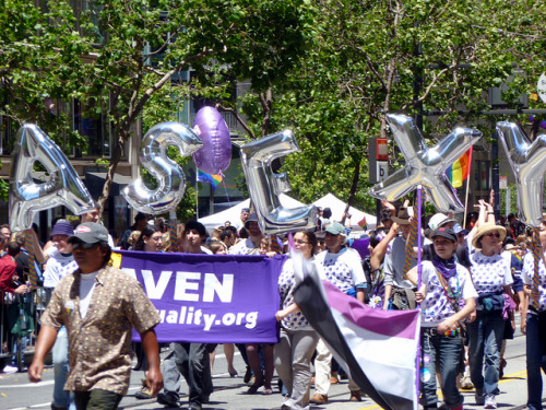 image source: teshiron on flickr Asexual contingent at the San Francisco pride parade, 2011.