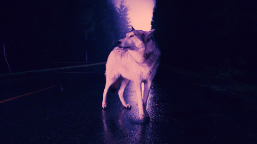-OhMthrFckr-