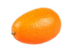 fandomsfrillsandfuckingtea:  This is a kumquat. Do not question its presence on your dash. Just take it and go. 