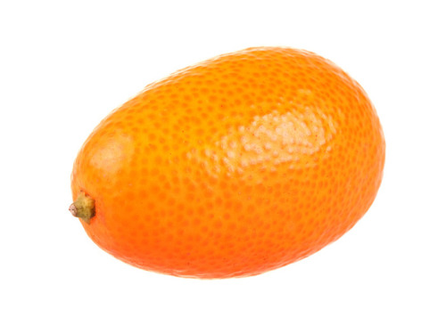 rhamphotheca:  fandomsfrillsandfuckingtea: This is a kumquat.  Do not question its presenc