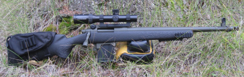 Specter Bolt Action Battle Rifle in .308 Winchester w/ Schmidt &amp; Bender Glass