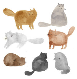 fivehundredcats